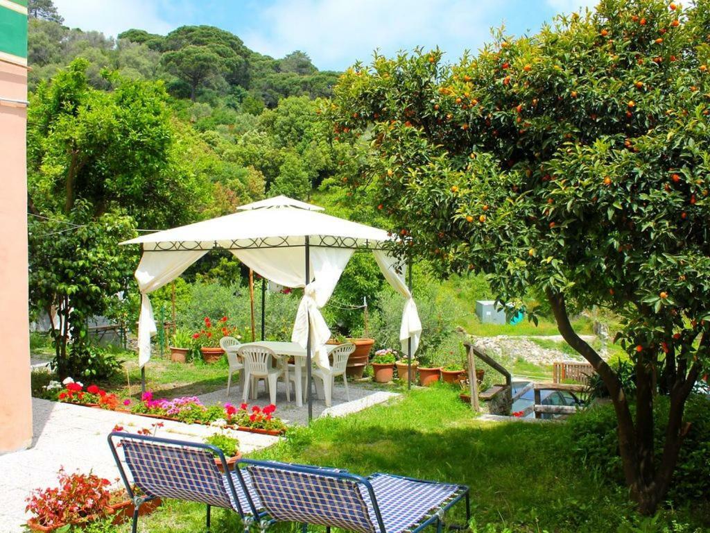 Appartamento Di Prestigio- Ca Da Lina - Deiva Marina Ngoại thất bức ảnh